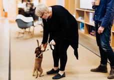 Playing with dog