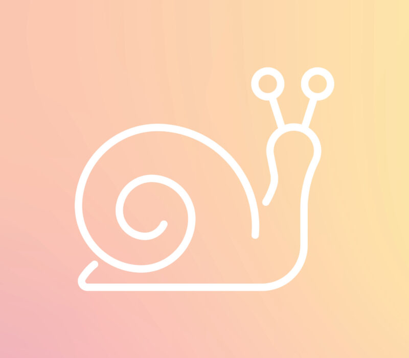 Snail on the right on a gradient pink to yellow background